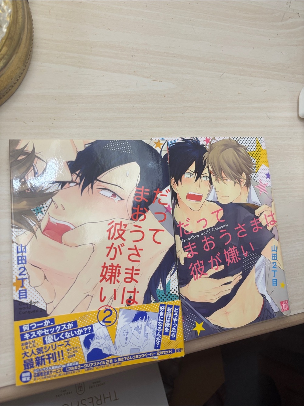 Datte Maou-sama wa Kare ga Kirai Vols. 1–2 by Yamada 2-chome